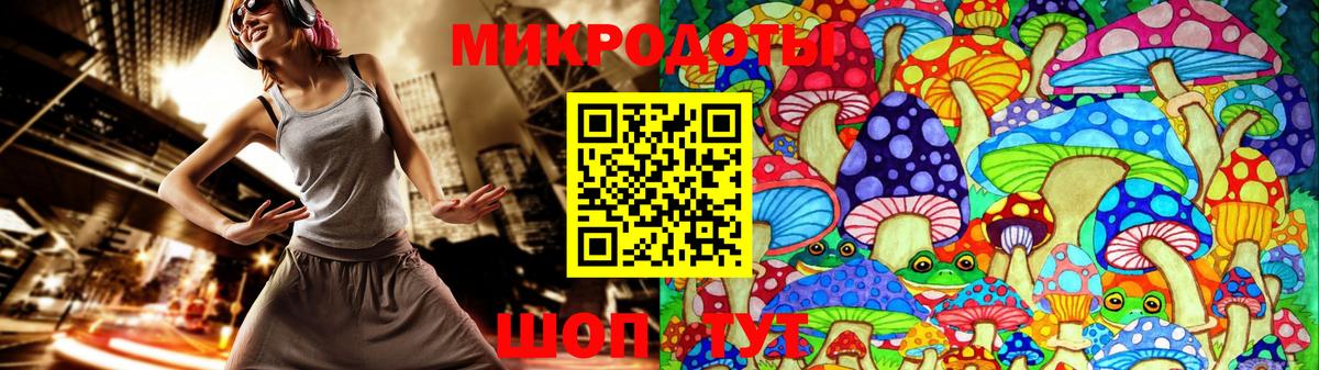 Галлюциногенные грибы Cubensis Ковров